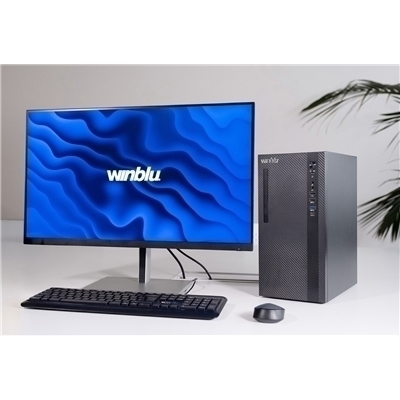 PC WINBLU ENERGY 15LT 4360 H610 I5-12400F 8GBDDR5 250SSD NOODD GT710/2G VGA+HDMI+DVI RJ45 USBC FREEDOS 450W 2YONSITE