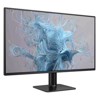 MONITOR PHILIPS LCD IPS LED 120HZ 27 WIDE 27E2N2500/00 4MS QHD 1500:1 BLACK HDMI DP VESA FINO:30/06