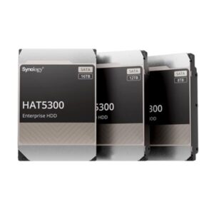 HARD DISK SATA6 3.5 X NAS 12000GB(12TB) SYNOLOGY HAT5300-12T  256MB CACHE 7200RPM