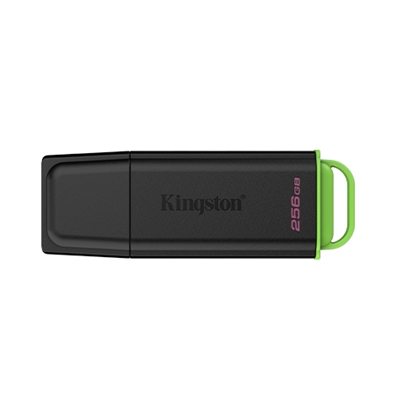 FLASH DRIVE USB3.2 256GB KINGSTON DTXG2/256GB EXODIA NERO+VERDE