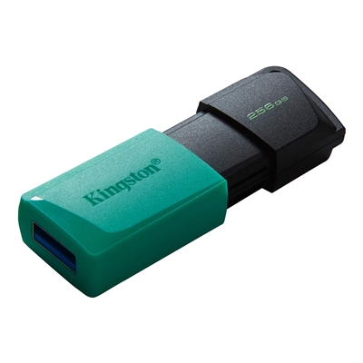 FLASH DRIVE USB3.2 256GB KINGSTON DTXM/256GB EXODIAM NERO+VERDE