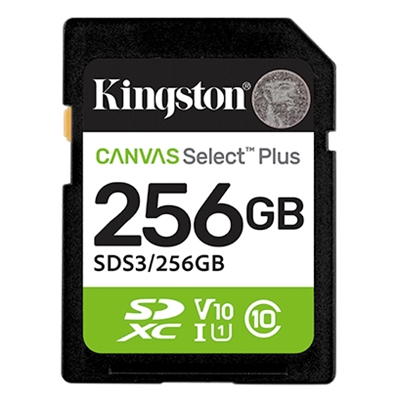 SECURE DIGITAL 256GB SDS3/256GB CLASS10